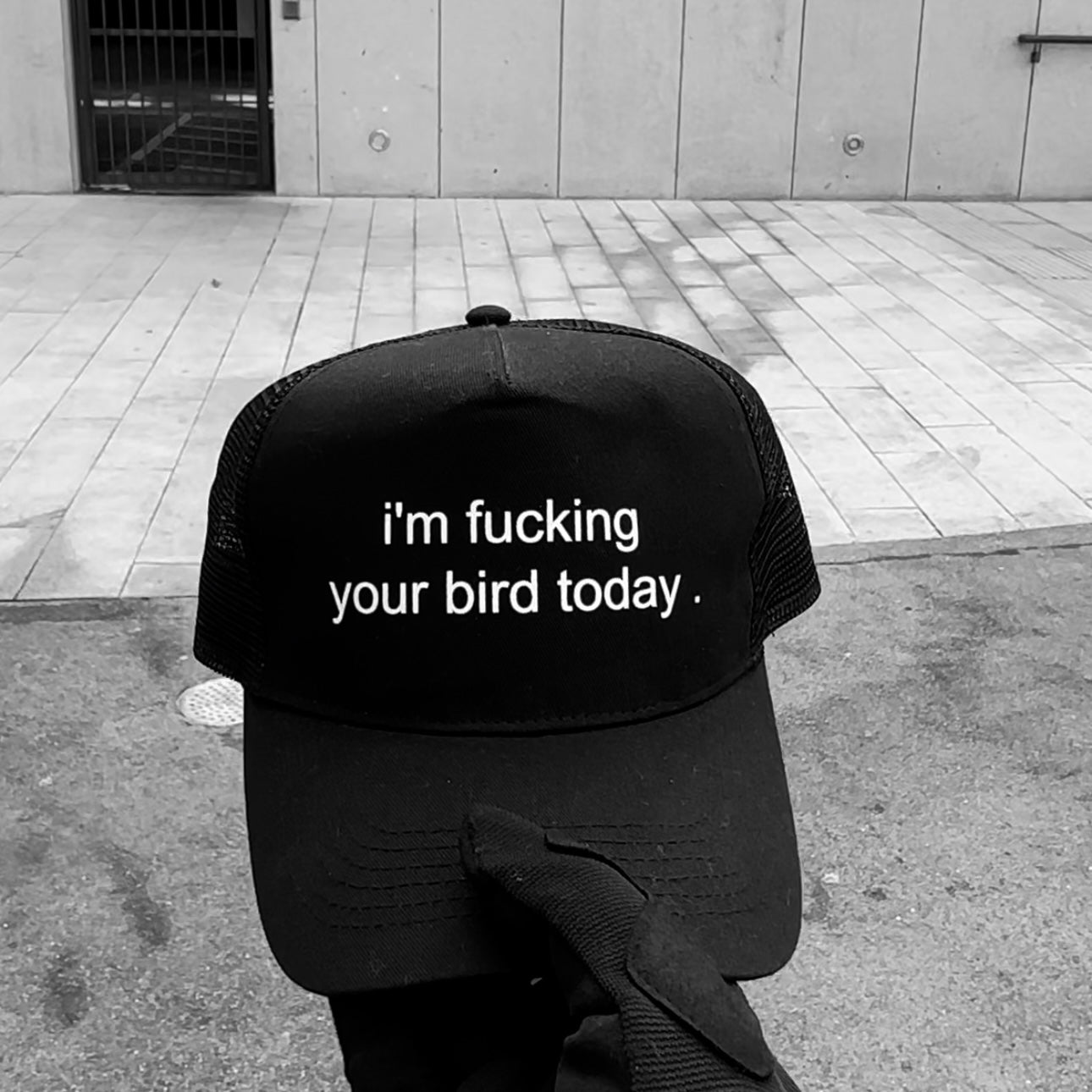 " i'm F ing your bird today " Trucker hat .